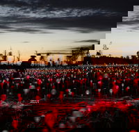 Field of Light Uluru - Palm Beach Accommodation
