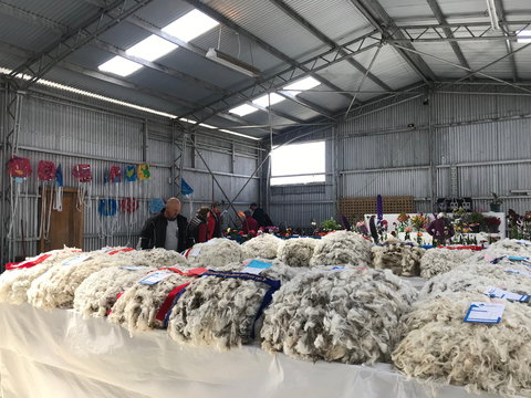 Flinders Island Show - Palm Beach Accommodation 2