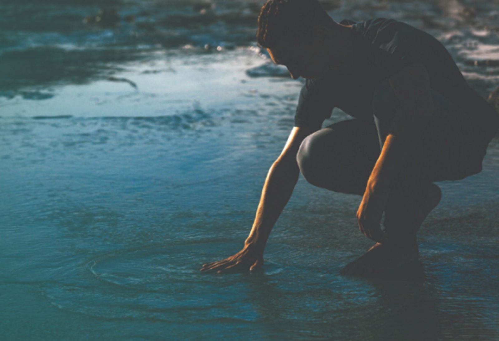 Fernside NSW Palm Beach Accommodation