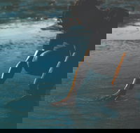 Flow - Palm Beach Accommodation