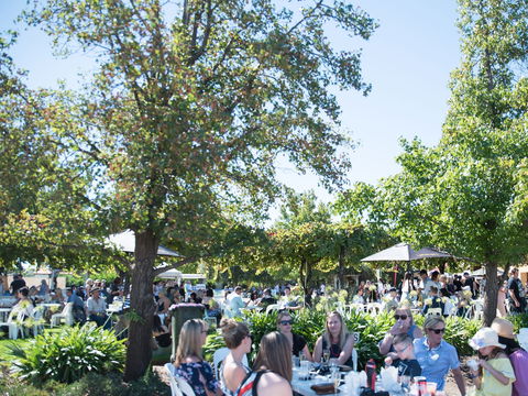 Griffith Vintage Festival - Palm Beach Accommodation 2