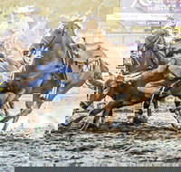 Gundagai Rodeo - Palm Beach Accommodation