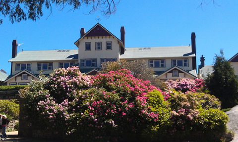 Hedonistic Hiking's Mount Buffalo Hike And Picnic - Palm Beach Accommodation 1