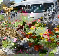 Johns River Country Markets - Palm Beach Accommodation