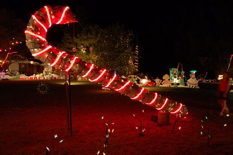 Loxton Christmas Lights Festival - Palm Beach Accommodation 2
