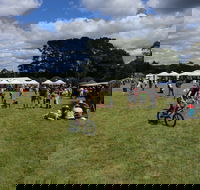 Majors Creek Festival - Palm Beach Accommodation