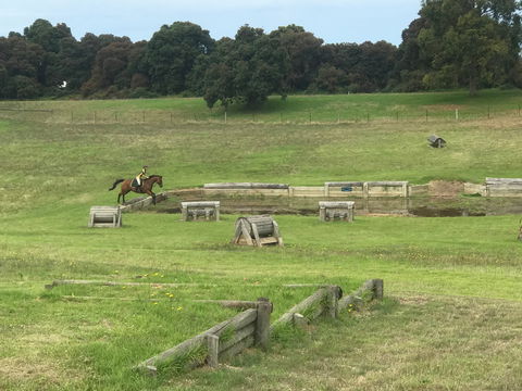 Mount Gambier And District Pony Club Horse Trials 2020 - Palm Beach Accommodation 0