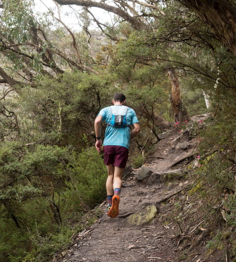 Peaks And Trails Run - Palm Beach Accommodation 2