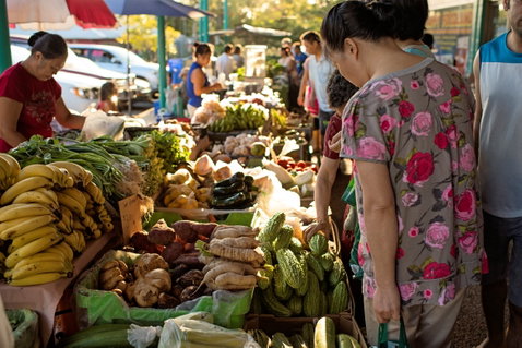 Rapid Creek Markets - Palm Beach Accommodation 1