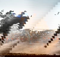 Rodeo by the Sea - Streaky Bay - Palm Beach Accommodation