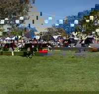 Sakura Matsuri  - Cherry Blossom Festival - in doubt due to Covid-19 - Palm Beach Accommodation