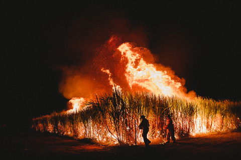 Sweet Days, Hot Nights Festival - Palm Beach Accommodation 1