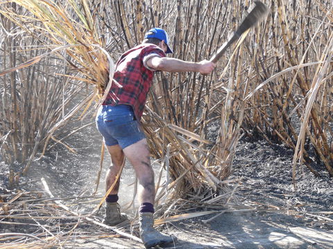 Sweet Days, Hot Nights Festival - Palm Beach Accommodation 2