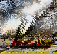 The Orange Society of Model Engineers - Miniature Train Rides - Palm Beach Accommodation