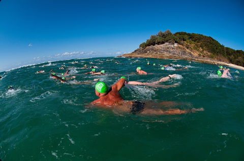 The Straddie Salute Triathlon Festival - Palm Beach Accommodation 1