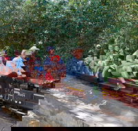 Twilight Run   Willans Hill Miniature Railway - Palm Beach Accommodation