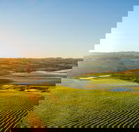 Wine and Food at Altitude - Palm Beach Accommodation