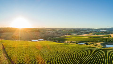 Wine And Food At Altitude - Palm Beach Accommodation 0