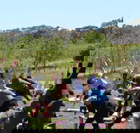 Yoga in the Vines - Palm Beach Accommodation