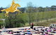 Yoga In The Vines - thumb 0
