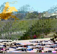 Yoga in the Vines - Palm Beach Accommodation