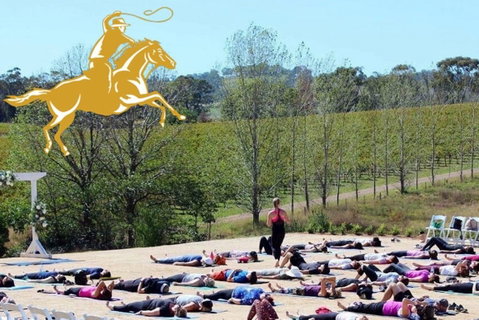 Yoga In The Vines - Palm Beach Accommodation 0