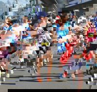 Darrel Chapman Fun Run - Palm Beach Accommodation