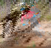 Fox Superflow sealed by Stan's Race  Greenvalleys - Palm Beach Accommodation