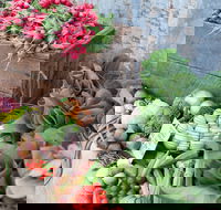 Ma Ma Creek Markets - Palm Beach Accommodation
