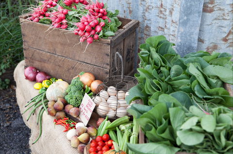 Ma Ma Creek Markets - Palm Beach Accommodation 0