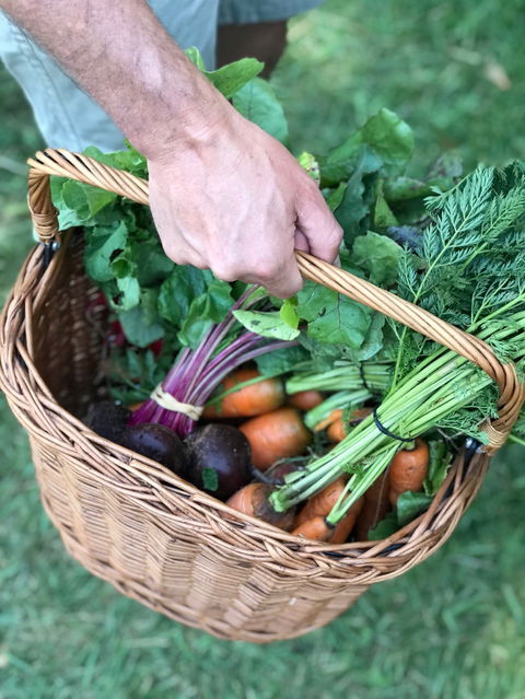 Orange Farmers Market - Palm Beach Accommodation 0