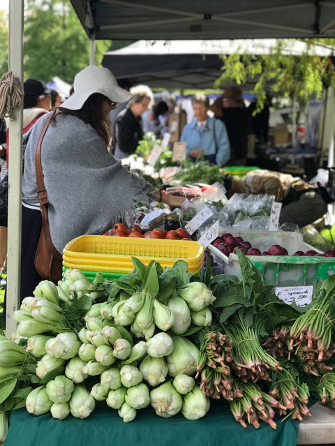 Orange Farmers Market - Palm Beach Accommodation 1