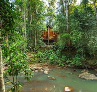 The Canopy Rainforest Treehouses and Wildlife Sanctuary - Palm Beach Accommodation