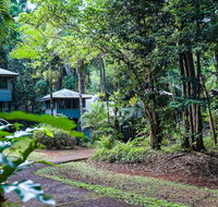 Ferntree Rainforest Lodge - Palm Beach Accommodation