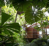 Daintree Wilderness Lodge - Palm Beach Accommodation