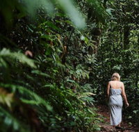 Daintree Ecolodge - Palm Beach Accommodation