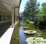 ANU University House Hotel - Palm Beach Accommodation