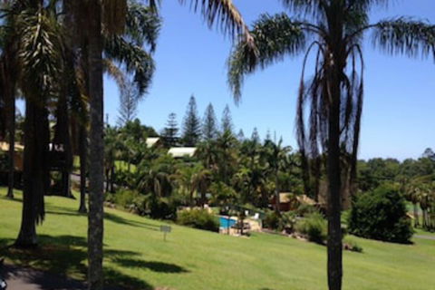 Paradise Palms Resort - Palm Beach Accommodation 0