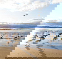 El Paso Motor Inn - Palm Beach Accommodation