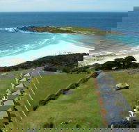 Diamond Island Resort  Bicheno Penguin Show - Palm Beach Accommodation