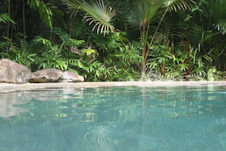 Cow Bay QLD Palm Beach Accommodation