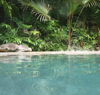 Daintree Rainforest Retreat - Palm Beach Accommodation