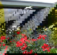 Comfort Inn Cedar Lodge - Palm Beach Accommodation