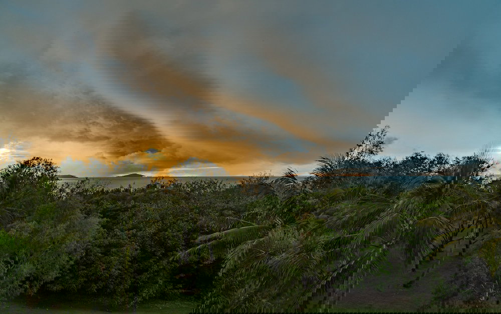 The Percy Group QLD Palm Beach Accommodation