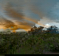 Ocean International - Palm Beach Accommodation