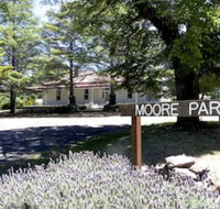 Moore Park Inn - Palm Beach Accommodation