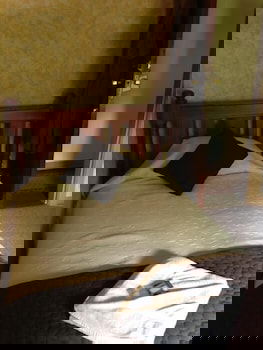 Walcha Royal Accommodation - Palm Beach Accommodation 2