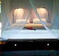 Cockatoo Hill Retreat - Palm Beach Accommodation