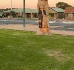 Lake Albert Motel - Palm Beach Accommodation