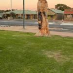 Lake Albert Motel - Palm Beach Accommodation 0